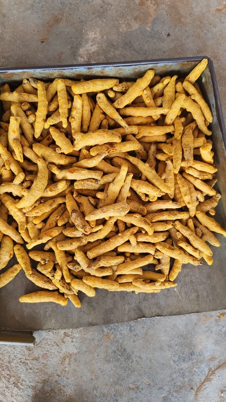 Our Product Range whatsapp image 2026 07 14 at 11.06.55 am