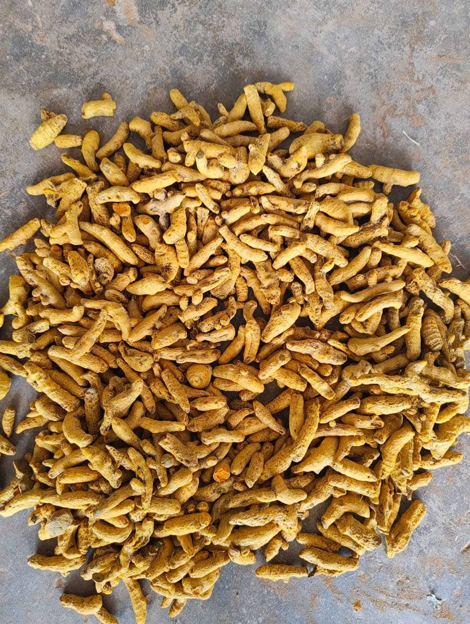 Our Product Range sannam